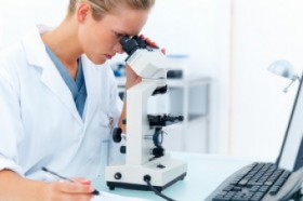 September 2012: Frauen für Energie feiern 30-jähriges Bestehen
